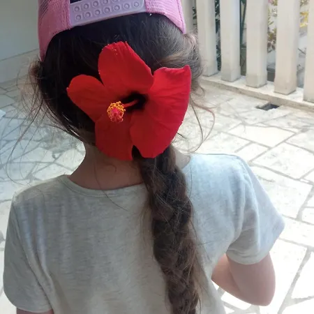 Апартаменты Hibiskus