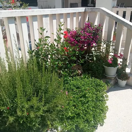 Apartmán Hibiskus *