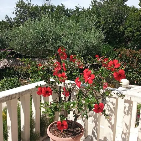 Hibiskus Apartmán *