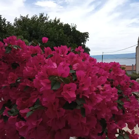 Apartmán Hibiskus *