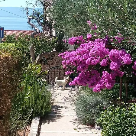 Apartmán Hibiskus