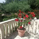 Hibiskus Lägenhet Bol