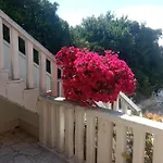 Hibiskus * Bol