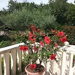 Hibiskus Lägenhet *