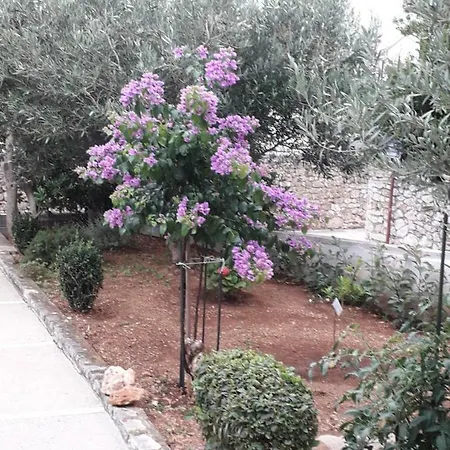 דירה Hibiskus *
