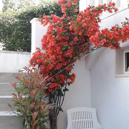 דירה Hibiskus